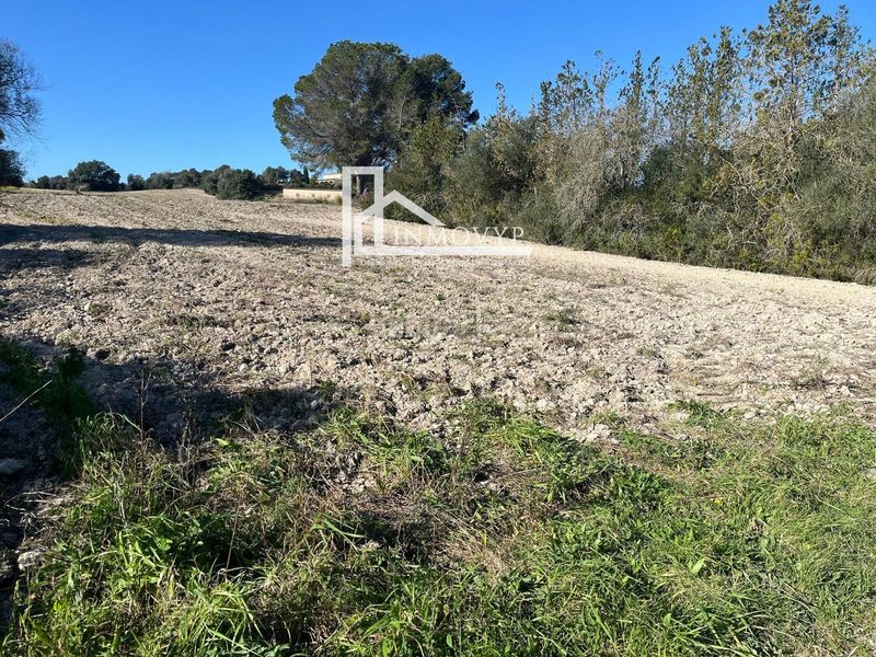 Foto b7e68303-3a65-4519-8034-5ddaafef3aef. Masia a Petra