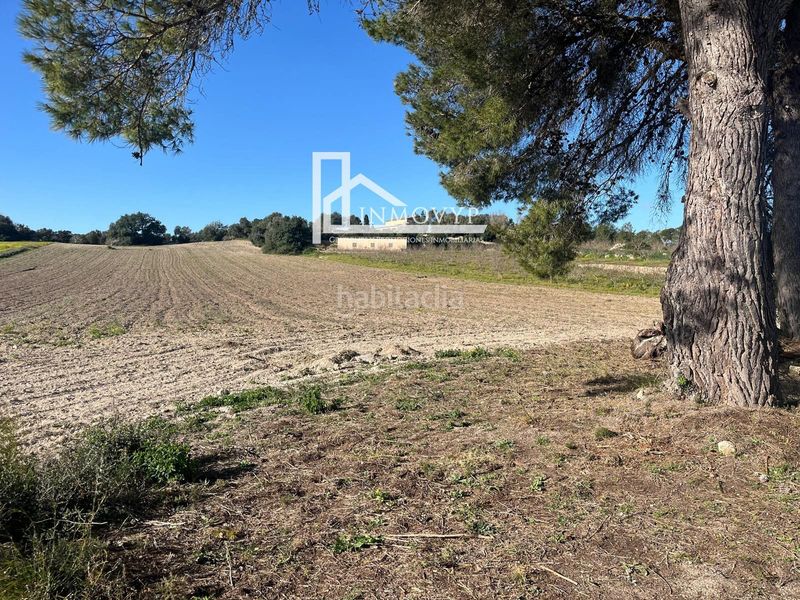 Foto c3e24db9-5cd1-4aa2-bfd6-432f59e0cf18. Masia a Petra