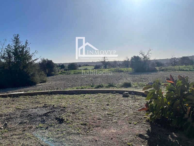 Foto f478098e-4f72-476b-8835-702fd093aedc. Masia a Petra