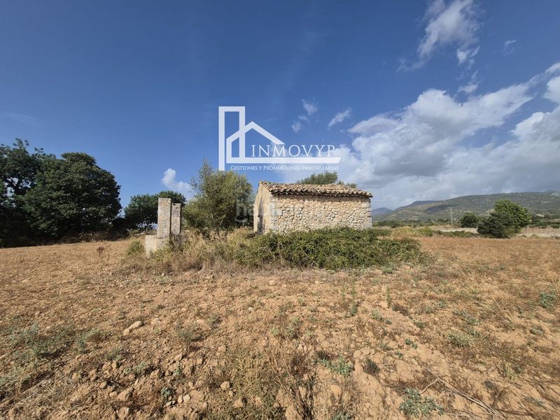 Foto f8bd530f-e241-4172-8827-72dc87a91f7e. Casale in Centro Inca