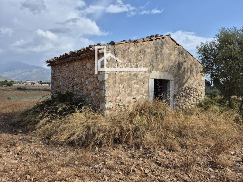 Foto 42a57916-e0c7-46f6-9fa5-28ddaef708c4. Masia a Lloseta