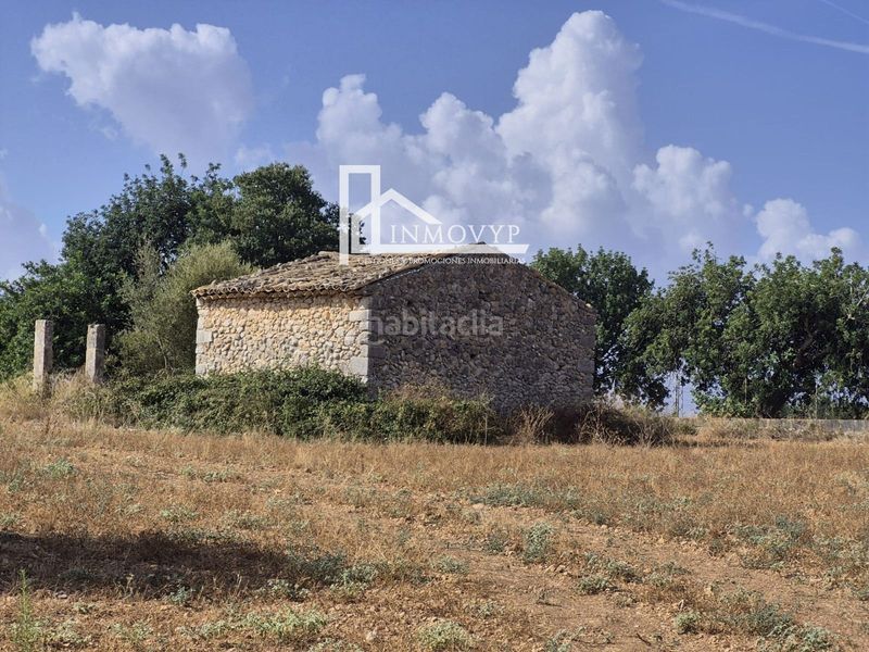 Foto 94161686-bb20-4814-b972-df06af7ef867. Masia a Lloseta