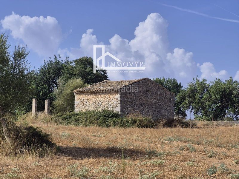 Foto d2cd8446-c13a-49ab-9102-19ff94ea252d. Masia a Lloseta