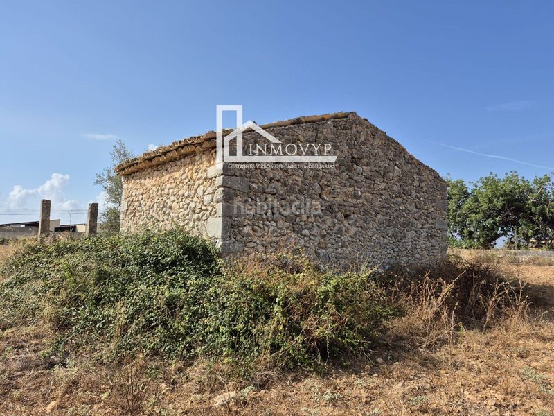 Foto fbfeac9d-2e79-4850-8c2d-1039e8dc96a0. Masia a Lloseta