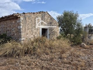Masia a Lloseta. Finquita en lloseta