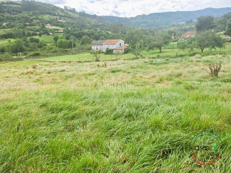 Foto 513a8db6-6127-4a86-9e4b-8bf4d754818b. Residential plot in Gijón - cm de linares 10 in Caldones Gijón