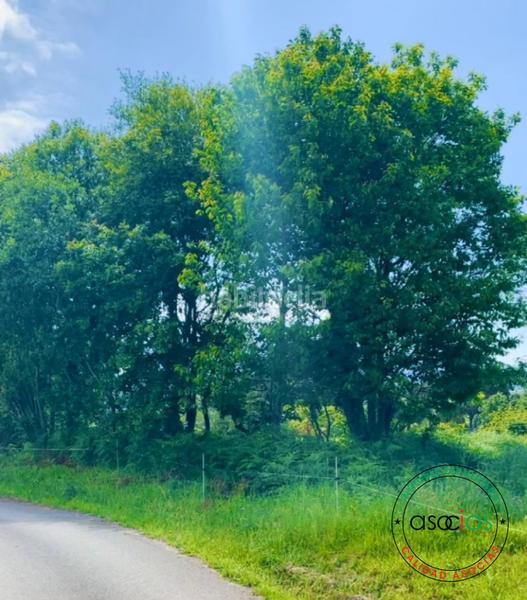 Foto 0c8ff173-4477-45c2-a6f5-06aa26a465f8. Residential plot in Ribadesella - sardalla in Ribadesella