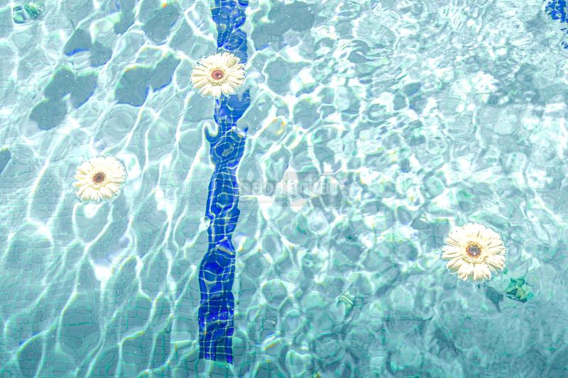 Foto 3f64ce8e-a3d2-4722-a126-69bd845ae796. Lloguer masia amb calefacció aparcament piscina a Torre - Pacheco