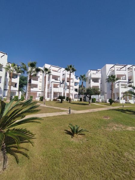 Foto 2a9772c5-aa99-4e8e-9bcd-2b39fc24c3a5. Affitto piccolo appartamento in Terrazas de la Torre Golf Torre - Pacheco
