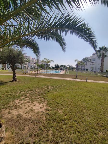 Foto e1cb139d-5f00-4abe-a0c5-05fa0b5a65f7. Affitto piccolo appartamento in Terrazas de la Torre Golf Torre - Pacheco