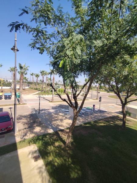 Foto f5f69042-9d50-4735-bcc2-03fd301a3ebc. Affitto piccolo appartamento in Terrazas de la Torre Golf Torre - Pacheco