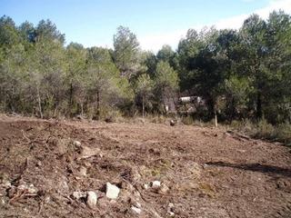 Terreny residencial a Montmell (El)