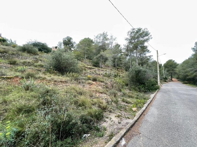 Foto f6fe117b-de14-4b56-b850-db6f9d7d144e. Residential plot in Bisbal del Penedès (La)