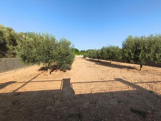 Terreno residenziale in Montferri. 2 parcelas planas de un total de 888m2 en urb lalzineta montferr