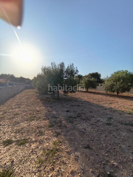Foto 3559dcc6-84e4-4d29-81d0-1a13cc211f7a. Terreny residencial a Montferri