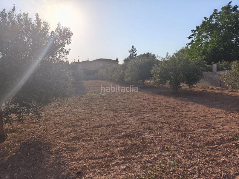 Foto 6b29fbfc-75e7-475d-9a1c-f2562b7a8802. Terreny residencial a Montferri