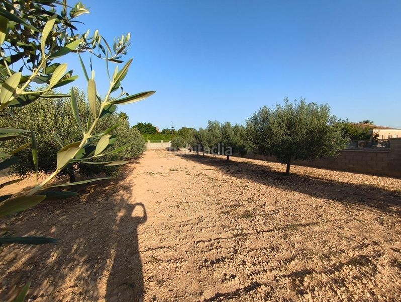 Foto a93eb94b-9a94-4c68-831a-cf46a9f08893. Terreny residencial a Montferri