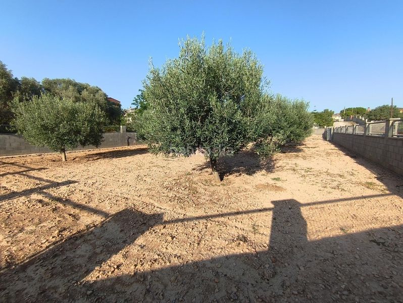 Foto c915f34d-8c41-48a6-891c-0074ff2c15d3. Terreny residencial a Montferri