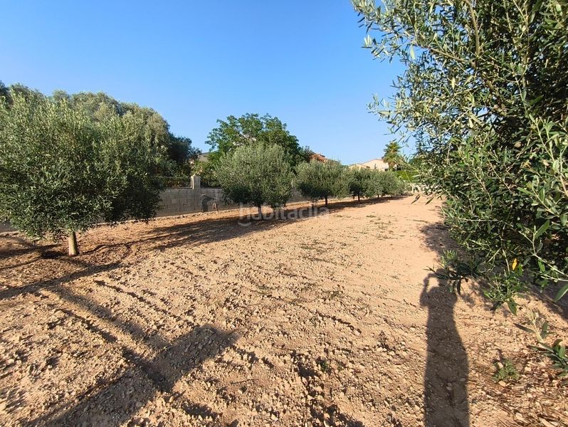 Foto e1af47a8-ef27-4c0a-a722-e5b0c7d7fe05. Terreny residencial a Montferri