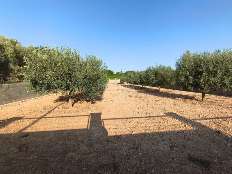 Foto f07ba8f3-c273-4114-8f17-f601859623bd. Terreny residencial a Montferri