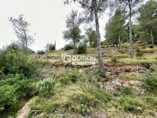 Finca rústica  Segovia-priorat. Terreno en el priorat de la bisbal