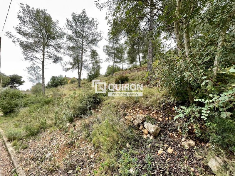Foto e767a676-60d4-456a-89c7-e7b28b953dce. Finca rústica a Bisbal del Penedès (La)
