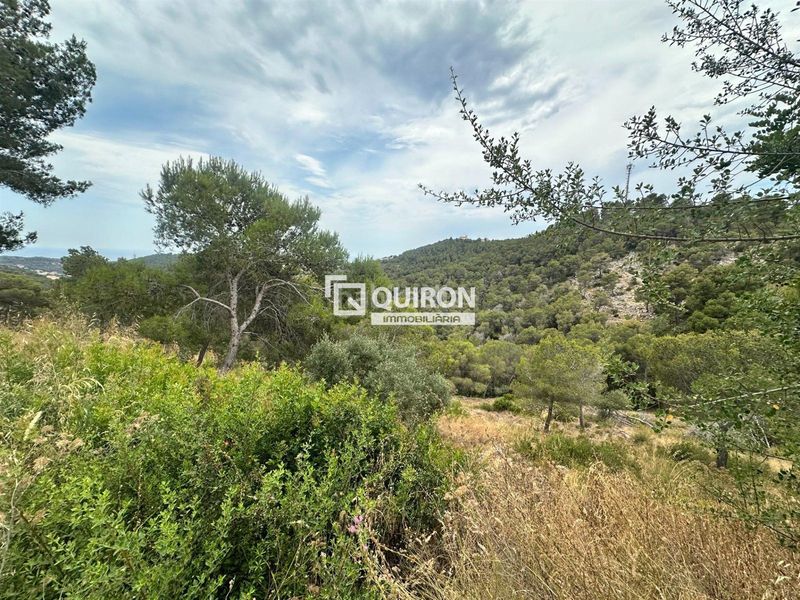 Foto e69805f3-32d2-4d3f-a734-ff1b97cefa54. Finca rústica a Castellet i la Gornal