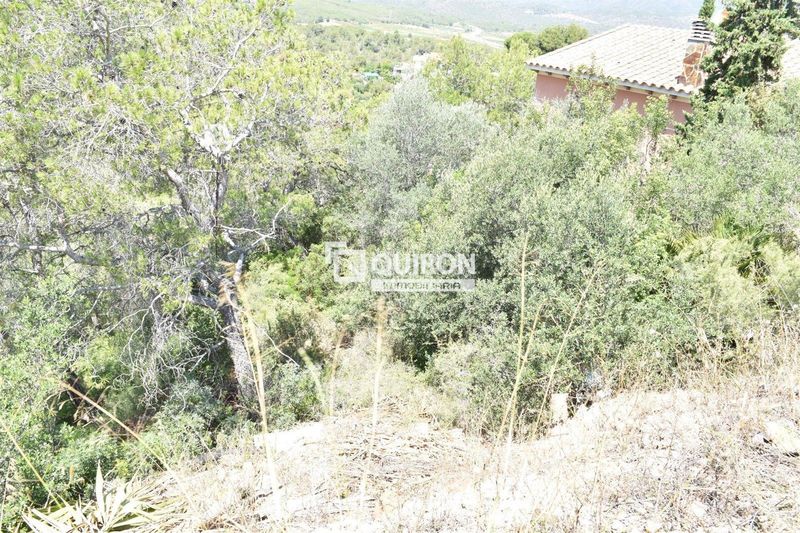Foto 06a47aeb-c4b5-453e-99e7-2323c87b5221. Finca rústica a Bisbal del Penedès (La)