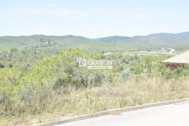 Foto 4a84d1ef-9697-40d9-a8ee-4e6233e640f0. Finca rústica a Bisbal del Penedès (La)