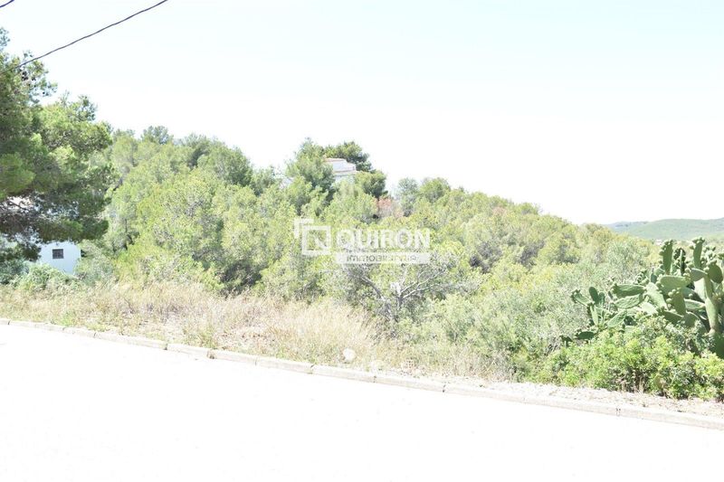 Foto 62e5cadc-0d98-44c2-a0f6-2542fe574292. Finca rústica a Bisbal del Penedès (La)