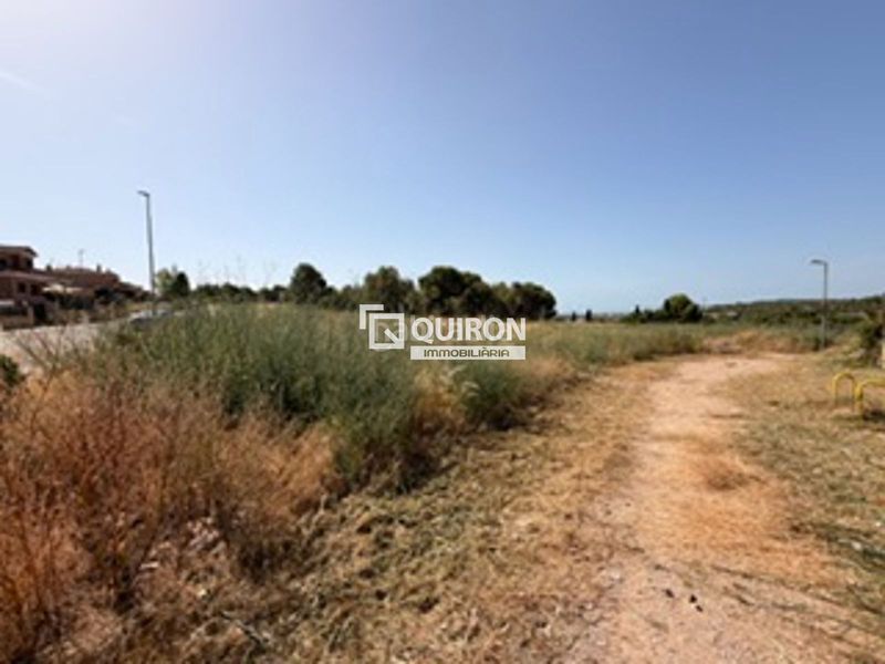 Foto 213d7398-27c2-4ae5-b8ee-2f664ce4c42c. Finca rústica a Santa Oliva