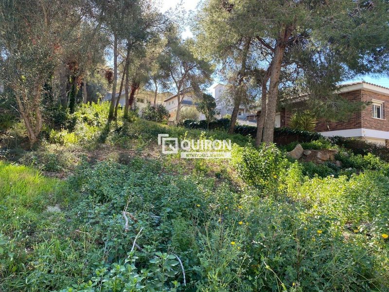 Foto aece8d64-caf1-48f8-aa8e-9450eb0b468b. Finca rústica a Santa Oliva