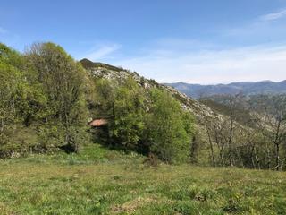 Finca rústica a Cangas de Onís. Venta de cuadra de piedra en finca rústica de 18.370 m2 en zona
