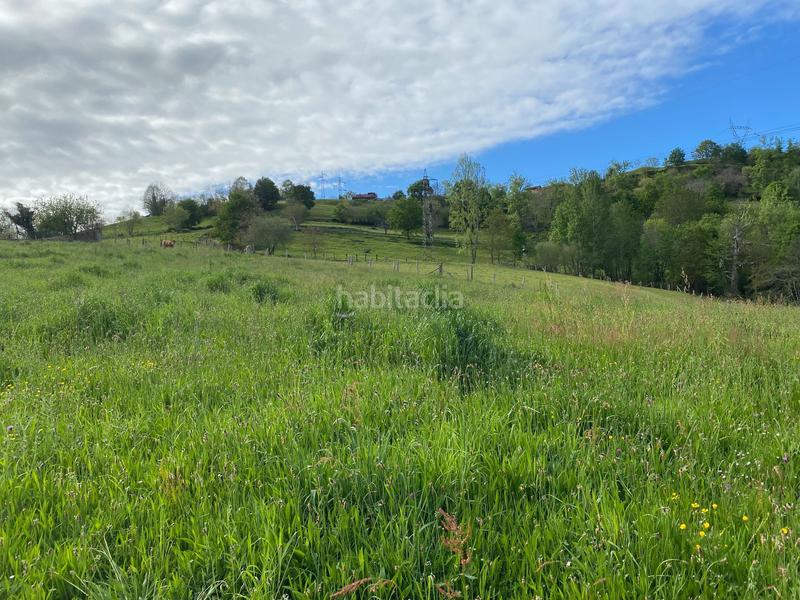 Foto 023652c0-37e8-4fb5-8bb7-6d8e5e197563. Finca rústica a Parres