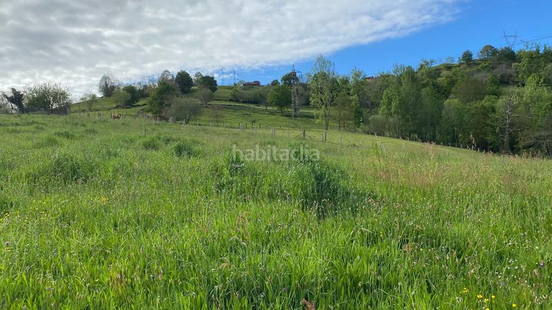 Foto 1840e5aa-b7ef-4dcd-a44a-66b0914d81a6. Finca rústica a Parres