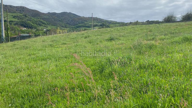 Foto 29ecb936-61ad-4be6-9617-9108ff1ef01b. Finca rústica a Parres