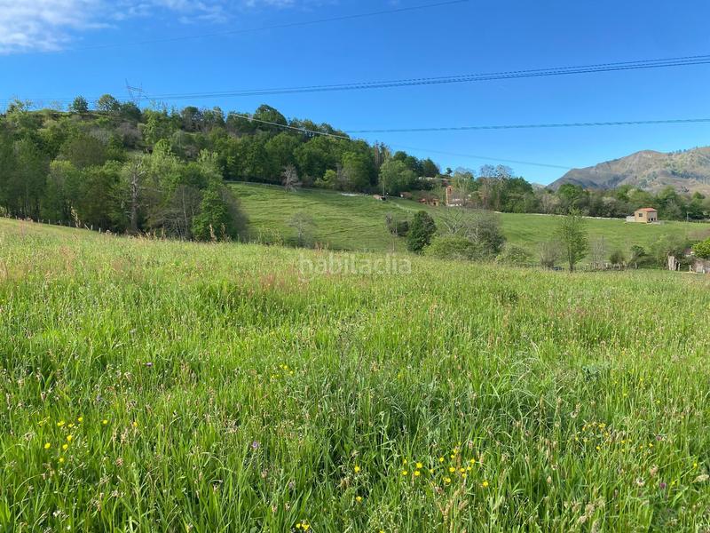 Foto ad1199d0-b1ca-47f8-925d-eab977b9ec32. Finca rústica a Parres