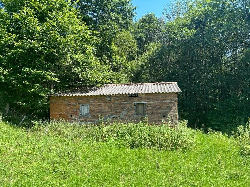 Foto 207a9afa-251a-4429-9128-906f6bfe9eac. Fondo rustico in Parres