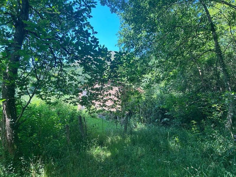 Foto 29ca9a97-55d0-42e7-b0f2-615b3c046a61. Fondo rustico in Parres