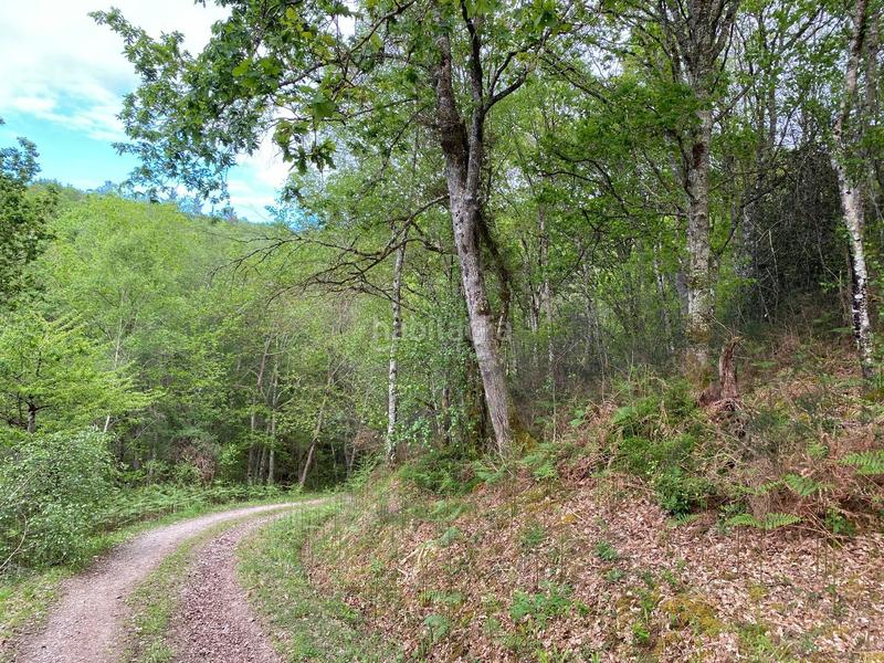 Foto 2ad475f2-e095-40ca-bf3d-2447bec15161. Finca rústica a Parres