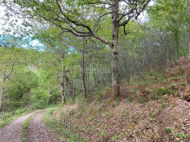 Foto 2d3d01a8-466e-4663-a7e0-325a4114fe7c. Finca rústica a Parres