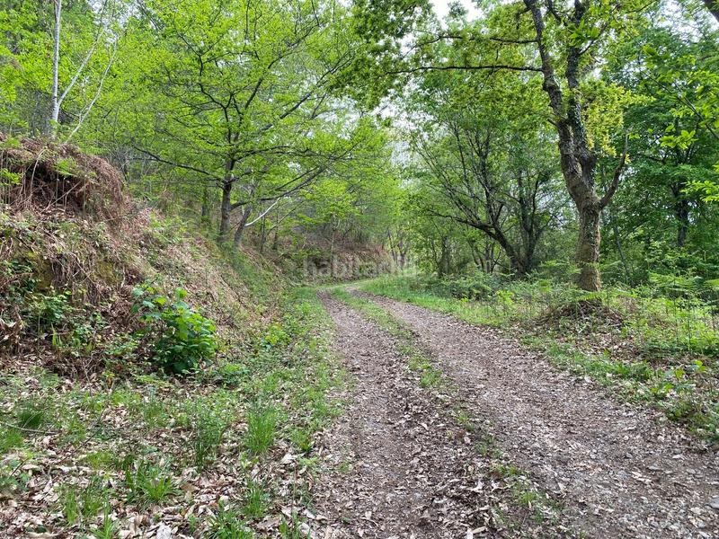 Foto 331a5378-dbeb-4549-9ef7-346e6ef9fa78. Finca rústica a Parres