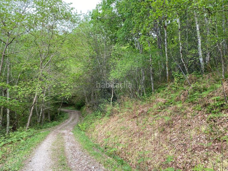 Foto 6627fcf2-063e-451c-83c0-c48fbc1310c8. Finca rústica a Parres