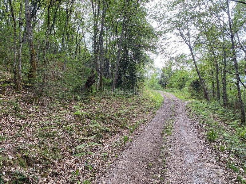 Foto aee40688-5f5f-4bfb-8425-cb7319a06cf3. Finca rústica a Parres