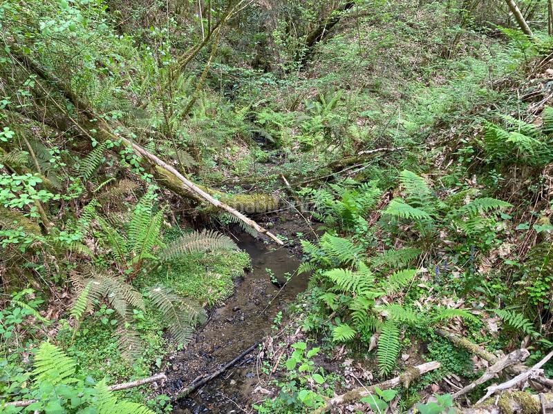 Foto c01803e5-2587-4726-b838-dbcde8a0e268. Finca rústica a Parres