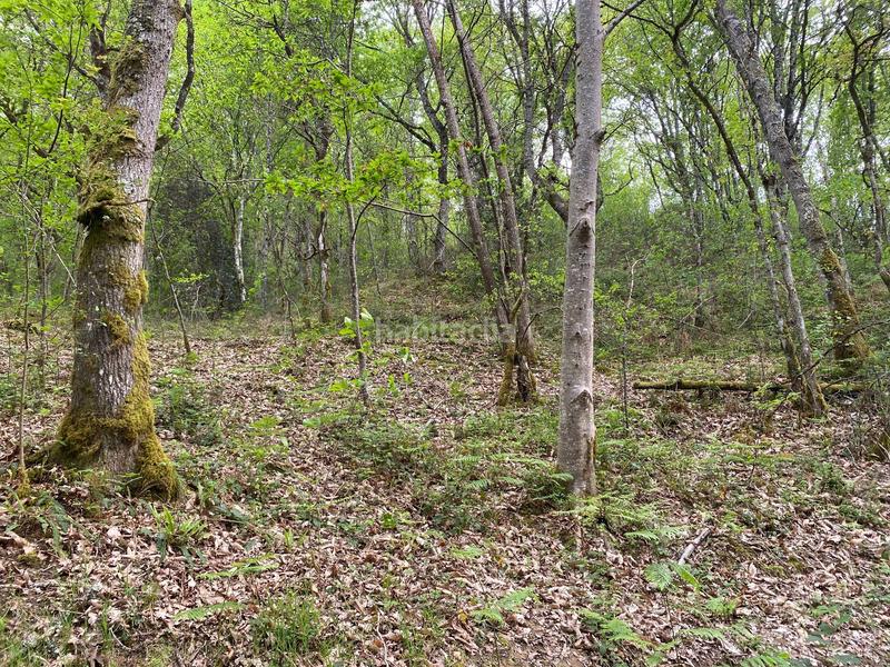 Foto c7d5e1bb-cef4-41eb-8969-8b6ea758af11. Finca rústica a Parres