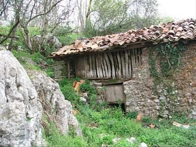 Foto afd7d7fc-b6c8-4e5f-9527-02fd9e983025. Haus in Cangas de Onís