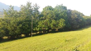 Terreny residencial a Piloña. Finca edificable de 5.400 m2 en piloña