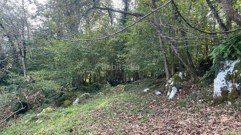 Foto 17149b55-d854-465e-abac-26c6c6930151. Terreno residencial parcela edificable en villar 1.700 m con servicios a pie de finca en Onís