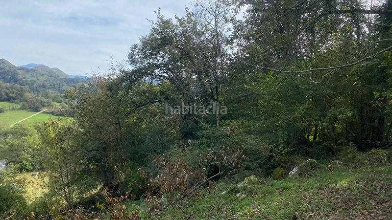 Foto 90dbde34-22b1-4160-a843-820a80561a9f. Terreno residencial parcela edificable en villar 1.700 m con servicios a pie de finca en Onís